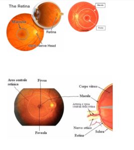 retina2